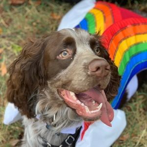 Meet your Posher, Cameron